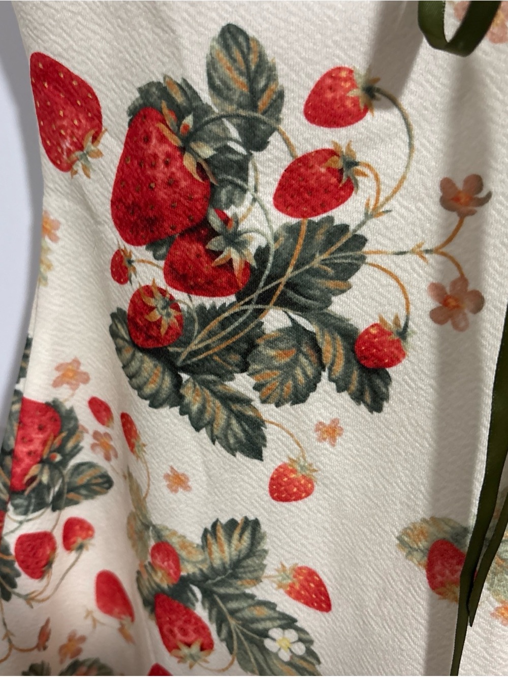 Cider Mini Dress Medium Strawberry Lace 32’L 17’ PTP - Picture 5 of 6